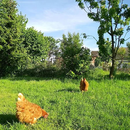 Ferme Bilogique 펜션 *